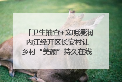 卫生抽查+文明浸润 内江经开区长安村让乡村“美颜”持久在线｜万千气象看四川