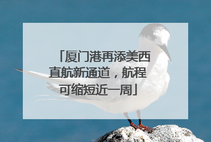 厦门港再添美西直航新通道，航程可缩短近一周