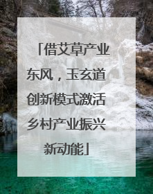 借艾草产业东风，玉玄道创新模式激活乡村产业振兴新动能