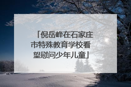 倪岳峰在石家庄市特殊教育学校看望慰问少年儿童