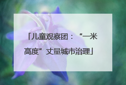 儿童观察团：“一米高度”丈量城市治理