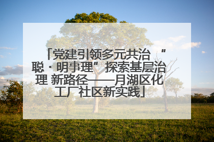 党建引领多元共治 “聪・明事理”探索基层治理 新路径——月湖区化工厂社区新实践