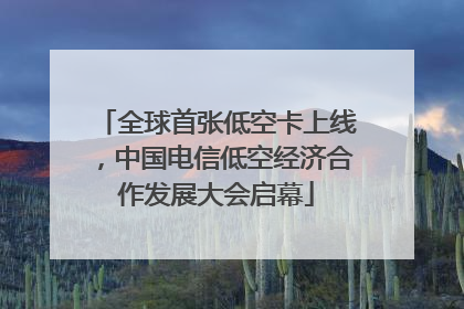 全球首张低空卡上线，中国电信低空经济合作发展大会启幕