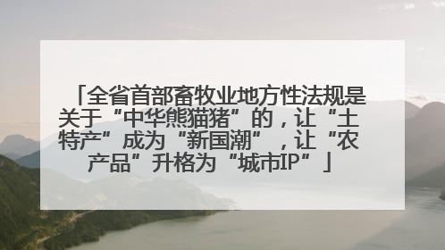 全省首部畜牧业地方性法规是关于“中华熊猫猪”的，让“土特产”成为“新国潮”，让“农产品”升格为“城市IP”