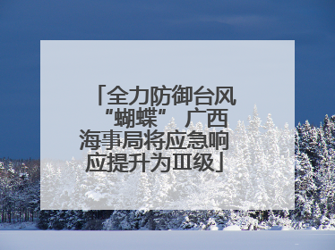 全力防御台风“蝴蝶” 广西海事局将应急响应提升为Ⅲ级