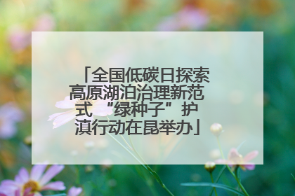 全国低碳日探索高原湖泊治理新范式 “绿种子”护滇行动在昆举办