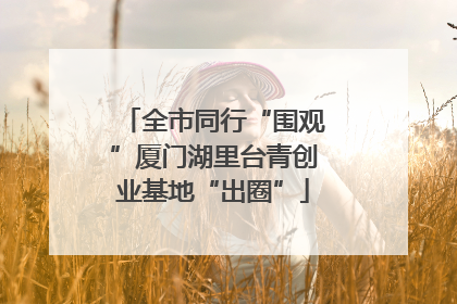 全市同行“围观”厦门湖里台青创业基地“出圈”