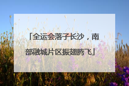 全运会落子长沙，南部融城片区振翅腾飞