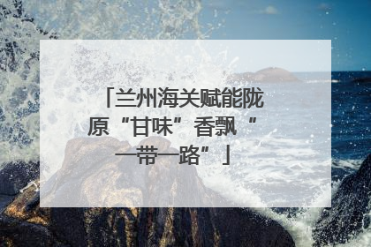 兰州海关赋能陇原“甘味”香飘“一带一路”