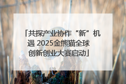 共探产业协作“新”机遇 2025金熊猫全球创新创业大赛启动