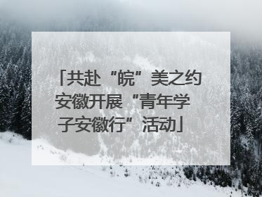 共赴“皖”美之约 安徽开展“青年学子安徽行”活动