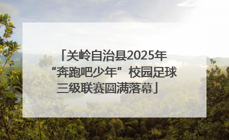 关岭自治县2025年“奔跑吧少年”校园足球三级联赛圆满落幕