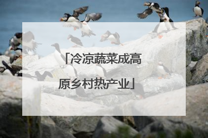 冷凉蔬菜成高原乡村热产业