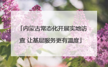 内蒙古常态化开展实地访查 让基层服务更有温度