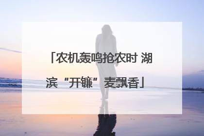 农机轰鸣抢农时 湖滨“开镰”麦飘香