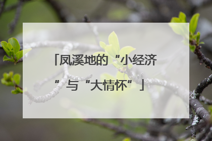凤溪地的“小经济”与“大情怀”