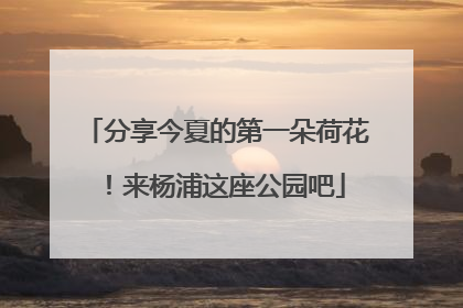 分享今夏的第一朵荷花！来杨浦这座公园吧