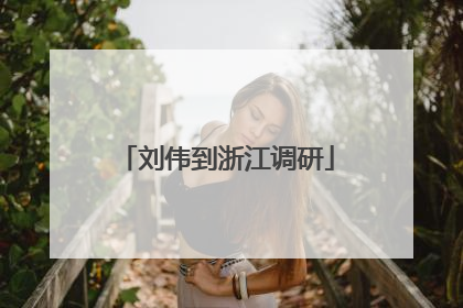 刘伟到浙江调研