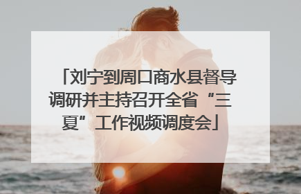 刘宁到周口商水县督导调研并主持召开全省“三夏”工作视频调度会