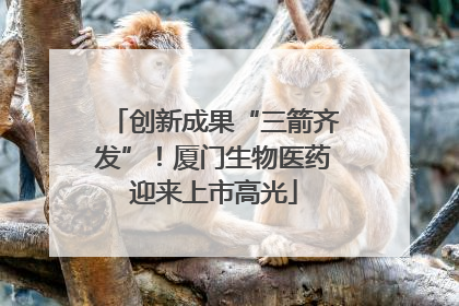 创新成果“三箭齐发”！厦门生物医药迎来上市高光
