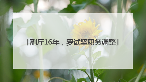 副厅16年，罗试坚职务调整