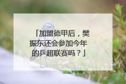 加盟德甲后，樊振东还会参加今年的乒超联赛吗？