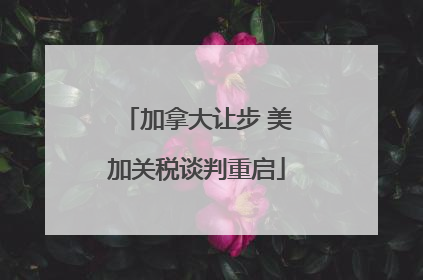 加拿大让步 美加关税谈判重启