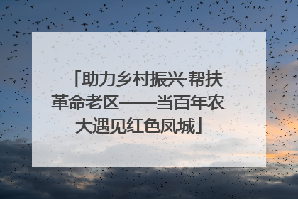 助力乡村振兴·帮扶革命老区——当百年农大遇见红色凤城