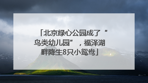 北京绿心公园成了“鸟类幼儿园”，福泽湖畔降生8只小鸳鸯