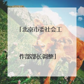 北京市委社会工作部部长调整