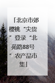 北京市郊樱桃“尖货”登录“北苑路88号”农产品市集