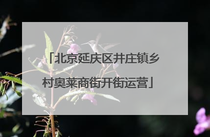 北京延庆区井庄镇乡村奥莱商街开街运营