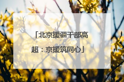 北京援疆干部高超:京援筑同心