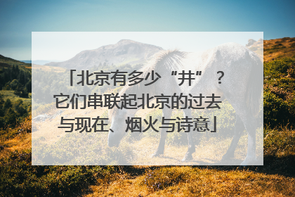 北京有多少“井”？它们串联起北京的过去与现在、烟火与诗意
