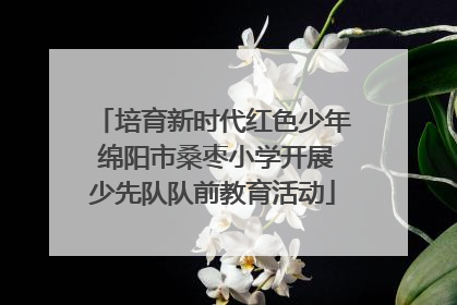 培育新时代红色少年 绵阳市桑枣小学开展少先队队前教育活动