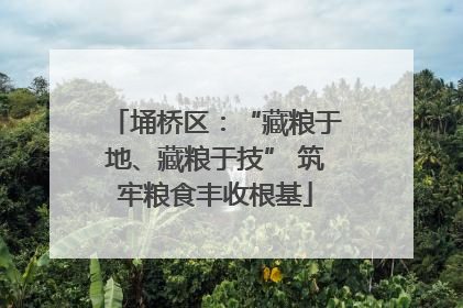 埇桥区：“藏粮于地、藏粮于技” 筑牢粮食丰收根基
