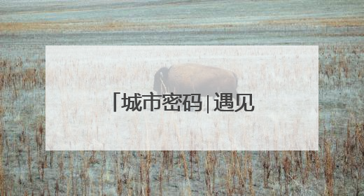 城市密码∣遇见更好的昙华林