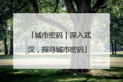 城市密码｜深入武汉，探寻城市密码
