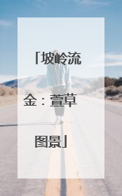 坡岭流金：萱草图景