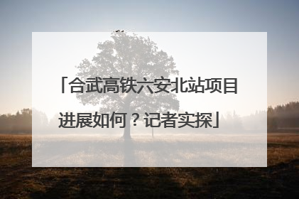 合武高铁六安北站项目进展如何？记者实探