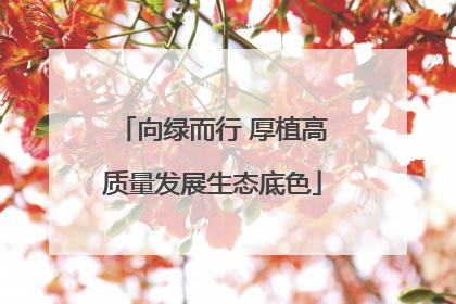 向绿而行 厚植高质量发展生态底色