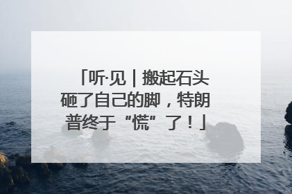听·见｜搬起石头砸了自己的脚，特朗普终于“慌”了！