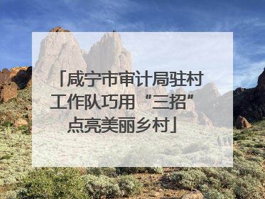 咸宁市审计局驻村工作队巧用“三招”点亮美丽乡村