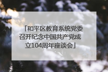 和平区教育系统党委召开纪念中国共产党成立104周年座谈会
