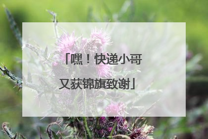 嘿！快递小哥又获锦旗致谢