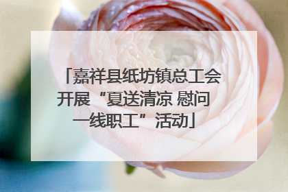 嘉祥县纸坊镇总工会开展“夏送清凉 慰问一线职工”活动