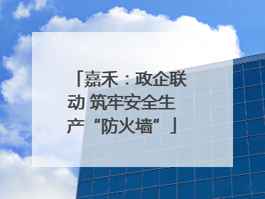嘉禾：政企联动 筑牢安全生产“防火墙”