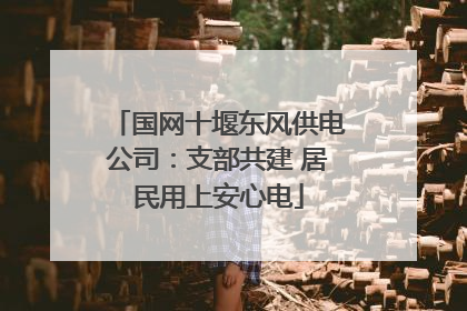 国网十堰东风供电公司：支部共建 居民用上安心电