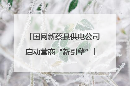 国网新蔡县供电公司启动营商“新引擎”
