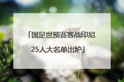 国足世预赛客战印尼25人大名单出炉